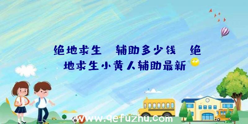 「绝地求生rd辅助多少钱」|绝地求生小黄人辅助最新